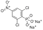 Dcnp-P