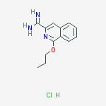1-Propoxyisoquinoline-3-carboximidamide hydrochloride