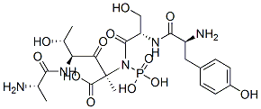alanyl-threonyl-phosphotyrosyl-seryl-alanine