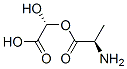D-Alanine,(R)-carboxyhydroxymethyl ester