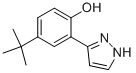 3-(2-HYDROXY-5-TERT-BUTYLPHENYL)PYRAZOLE