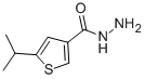 5-propan-2-ylthiophene-3-carbohydrazide