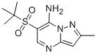 6-(TERT-BUTYLSULFONYL)-2-METHYLPYRAZOLO[1,5-A]PYRIMIDIN-7-AMINE