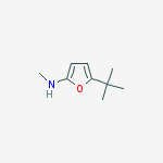 2-Furanamine,  5-(1,1-dimethylethyl)-N-methyl-