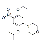 4-[2,5-bis(1-methylethoxy)-4-nitrophenyl]morpholine