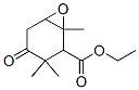 4-Oxo-1,3,3-trimethyl-7-oxabicyclo[4.1.0]heptane-2-carboxylic acid ethyl ester