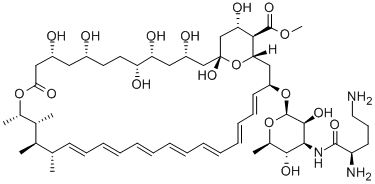 N-D-Ornithylamphotericin B methyl ester