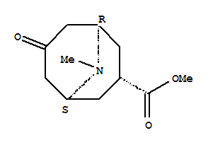 9-Azabicyclo[3.3.1]nonane-3-carboxylicacid, 9-methyl-7-oxo-, methyl ester, (3-exo)-