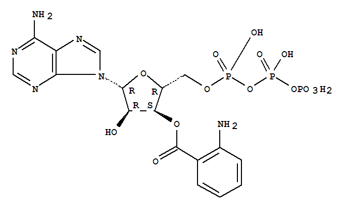 3-O-anthraniloyl ATP