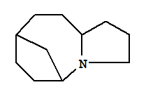 5,8-METHANOPYRROLO[1,2-A]AZOCINE,DECAHYDRO-