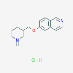 Isoquinoline, 6-(3-piperidinylmethoxy)-, hydrochloride (1:1)