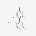 2-(2,4-dimethylphenyl)-4-fluorobenzoic Acid