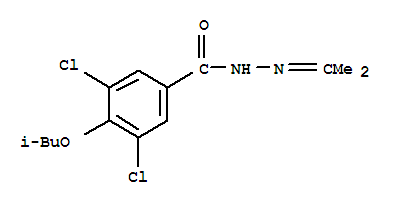 3,5-dichloro-4-(2-methylpropoxy)-N'-(propan-2-ylidene)benzohydrazide molecular structure