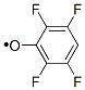 Phenoxy,  2,3,5,6-tetrafluoro- molecular structure