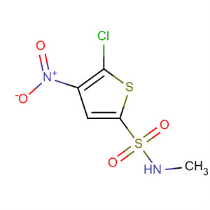 2-Thiophenesulfonamide, 5-chloro-N-methyl-4-nitro- molecular structure